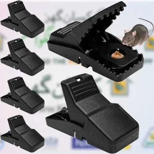 Heavy Duty Plastic Mouse Trap