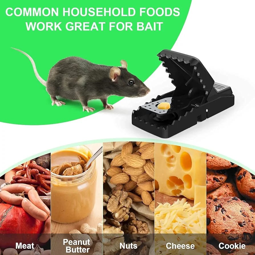 Heavy Duty Plastic Mouse Trap