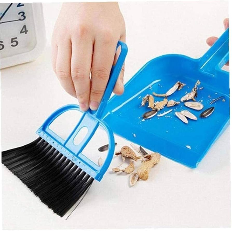 Dust Pan with Brush