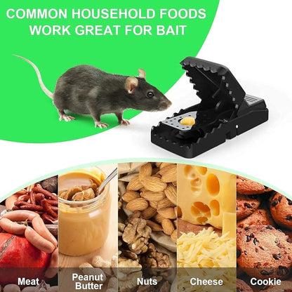 Heavy Duty Plastic Mouse Trap